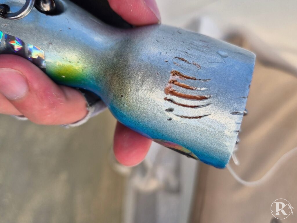 GT fishing Mauritius - a popper covered in bite marks after an explosive surface strike
