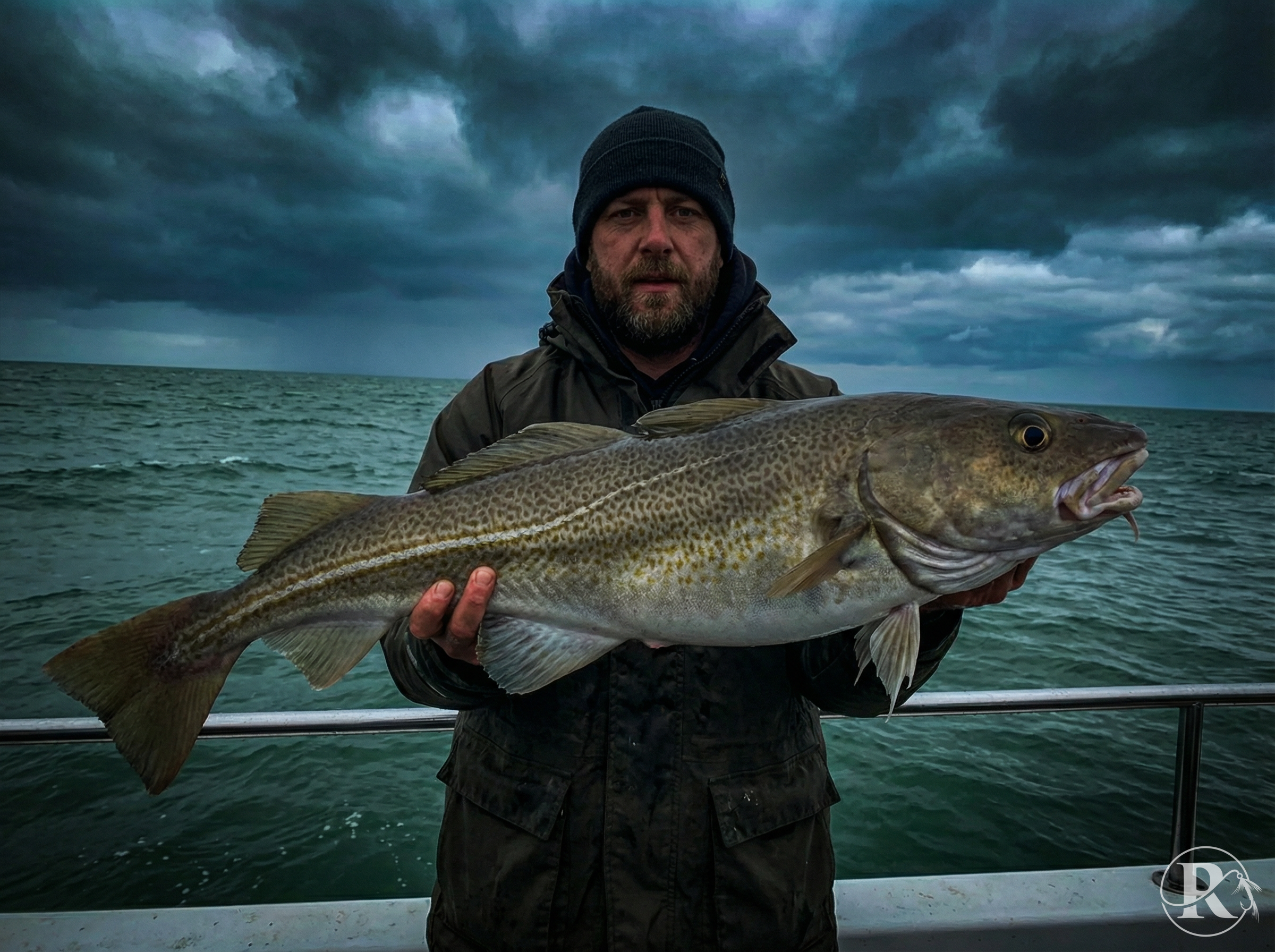 23lb Winter South Coast cod