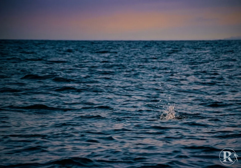 Calm sea with splashes at dusk.