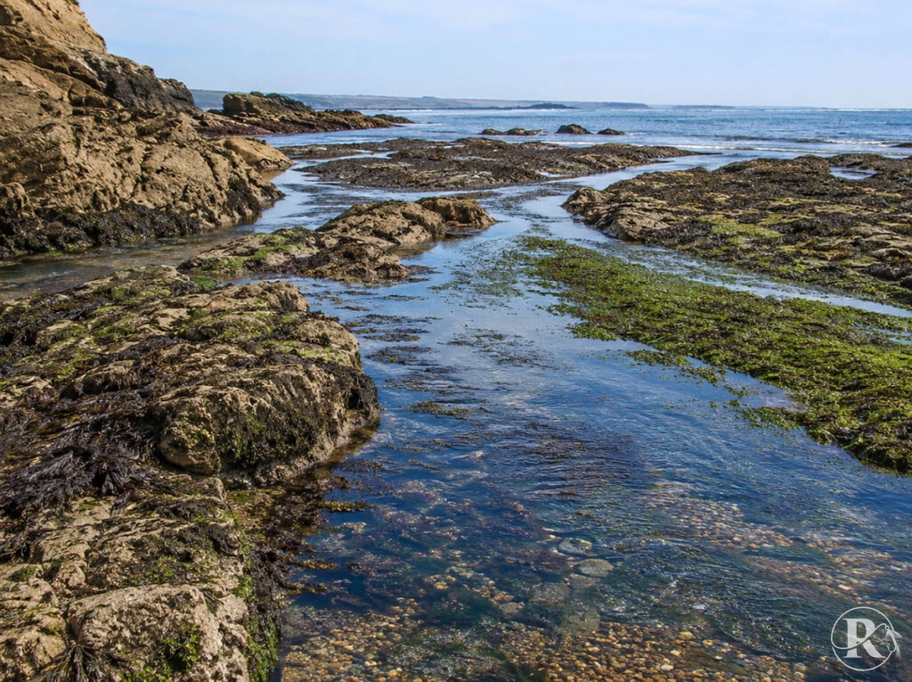 bass fishing mark at low tide South Coast UK
