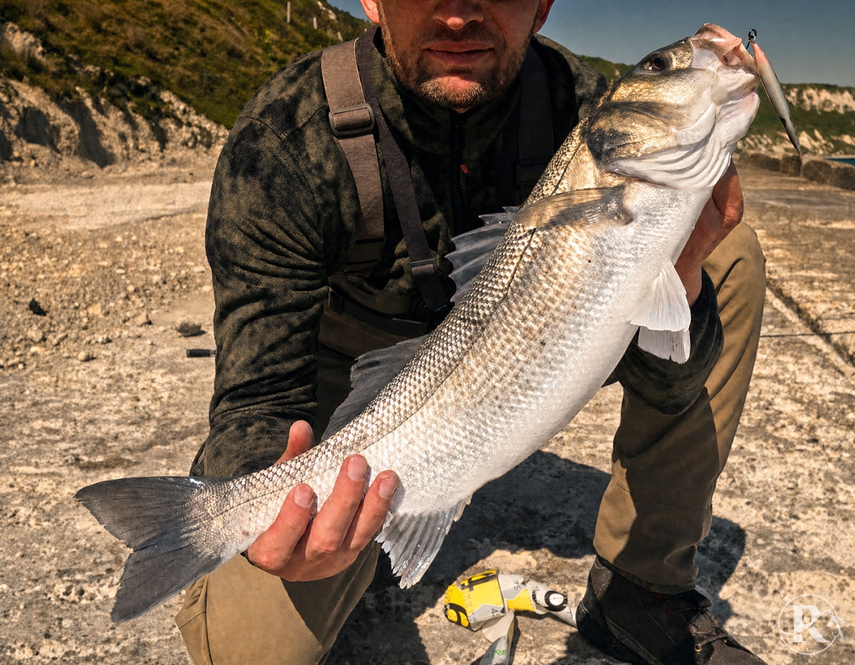 How to catch bass UK South Coast