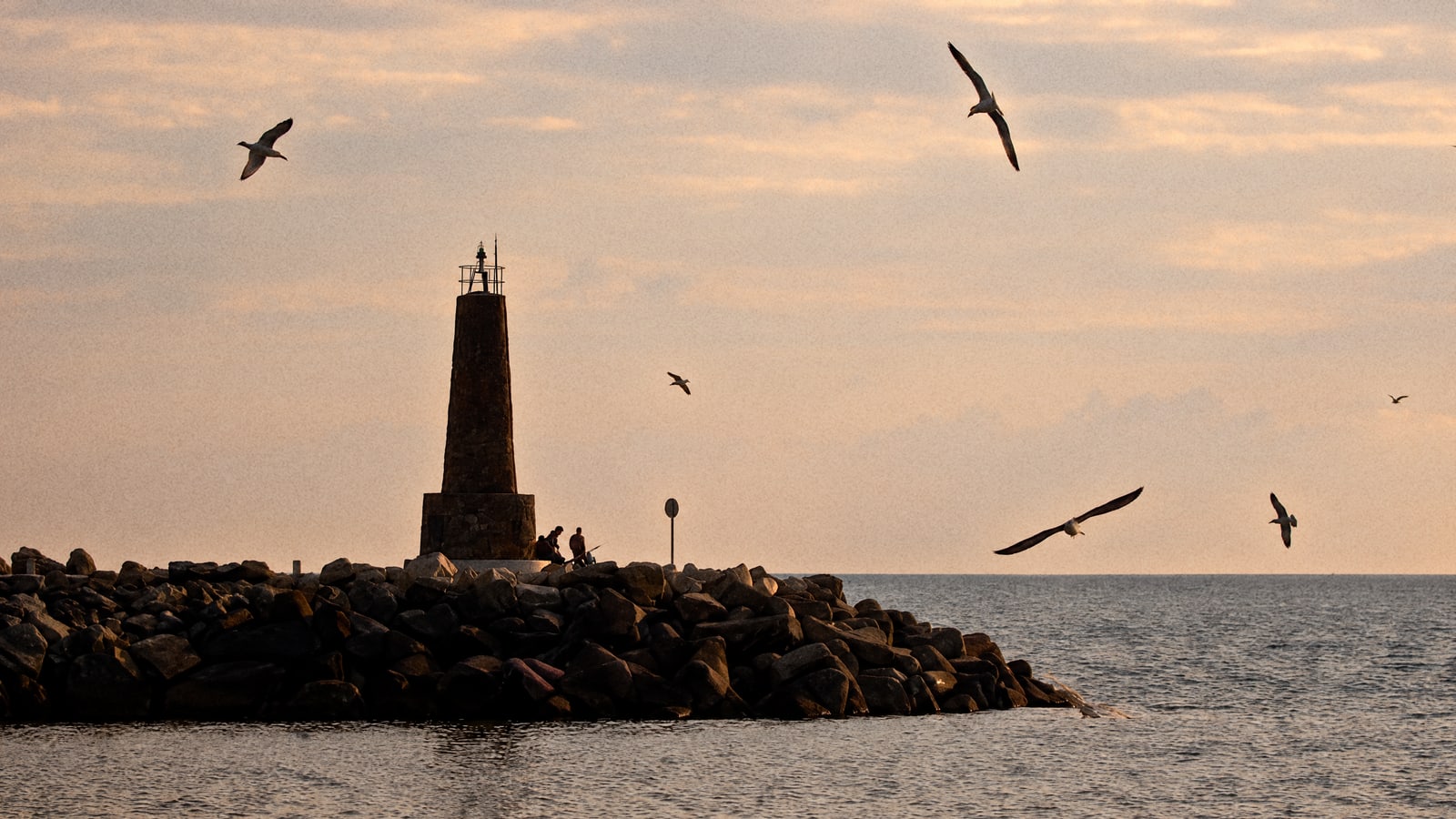 Calmest Month for a Fishing Trip in Málaga: What 40 Years of Buoy Data Say