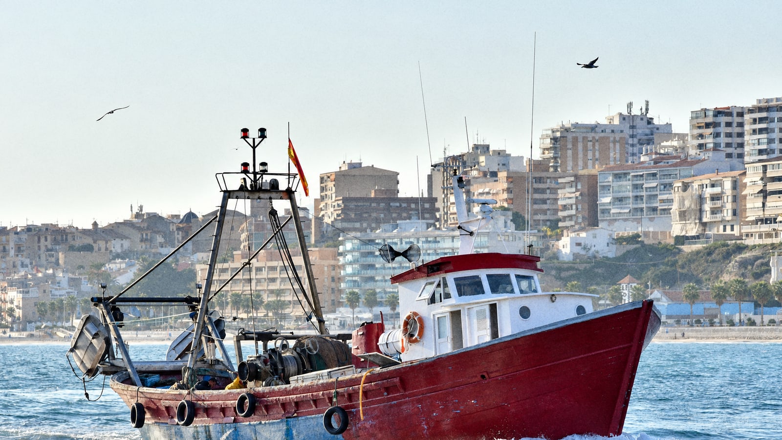 Do You Need a Fishing Licence in Spain? Charter Rules and PescaREC in 2026