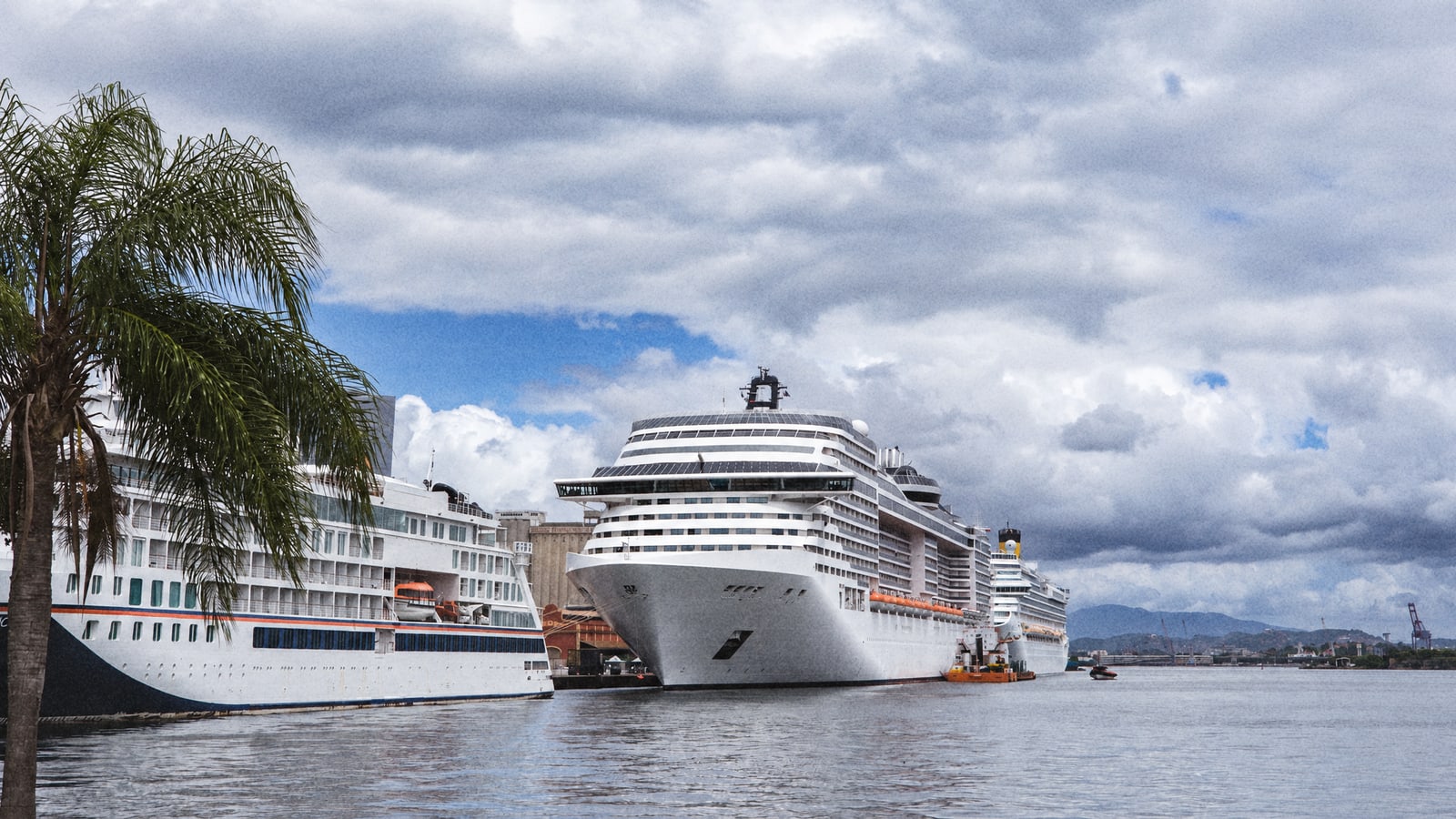 Cruise ships moored at a tropical port under a cloudy sky, a palm tree in the foreground and hills behind