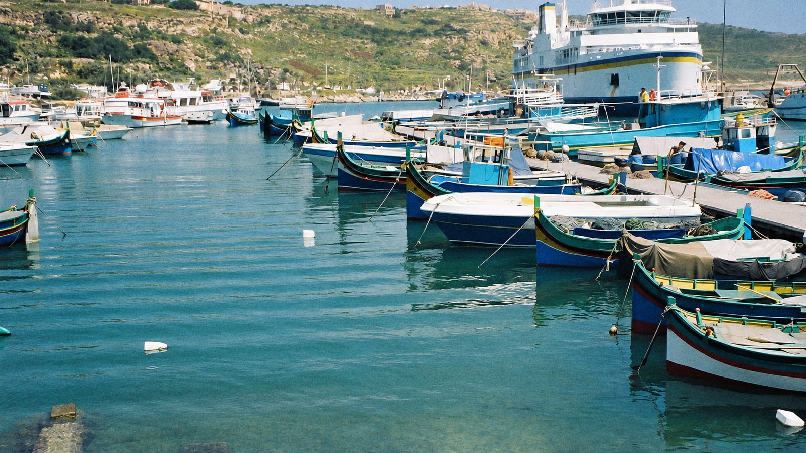 A Fishing Trip in Gozo: What to Expect, From the Ferry to the Catch