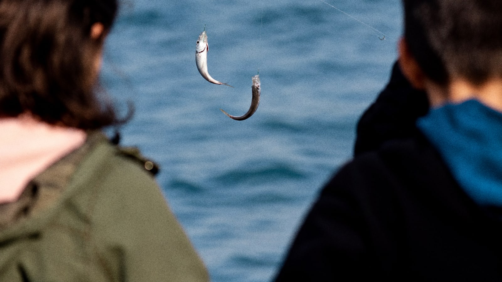 Two children in warm jackets watch small fish come up on a line over the sea