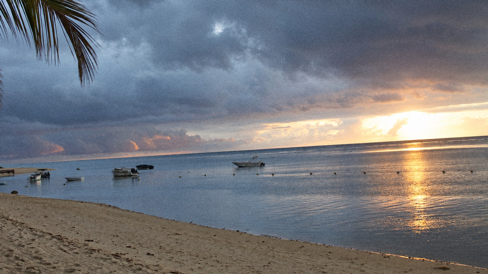 Fishing Trip in Trou-aux-Biches: What to Expect on the Day