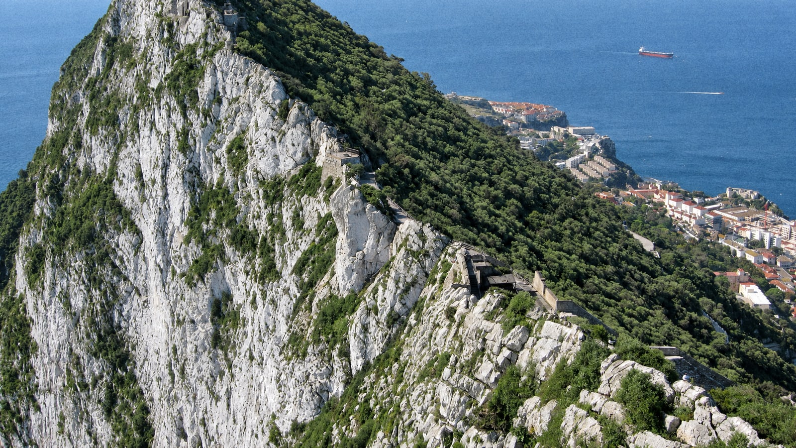 Gibraltar Boat Fishing by Season: What You Can Catch and When