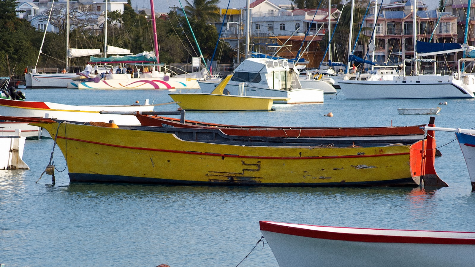 Half Day Fishing Trip in Grand Baie: What to Expect