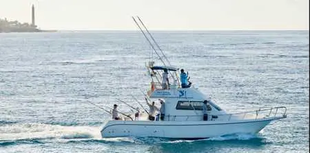 Bottom fishing 6 hours 