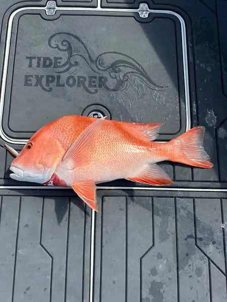 Full  Day Fishing Trips in Maldives