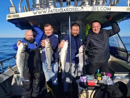 European seabass