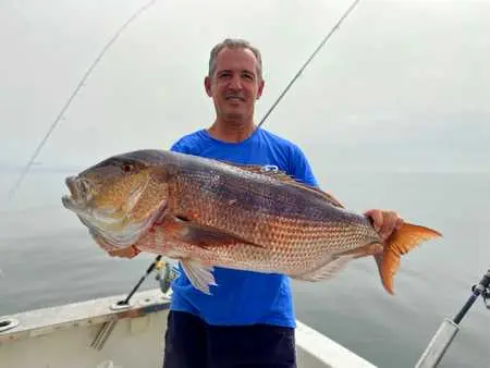 La Starfisher se llama Calamardo