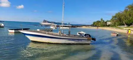 ti bato