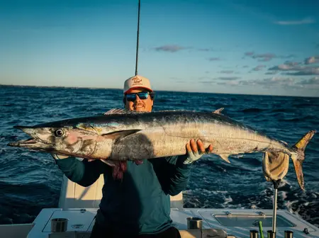 Sport Fishing South Florida