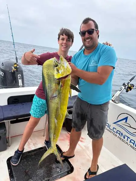 Mahi mahi