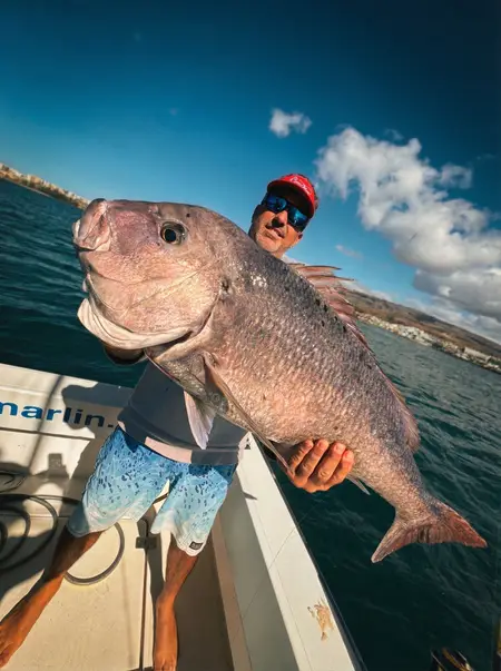 Bottom fishing 6 hours 